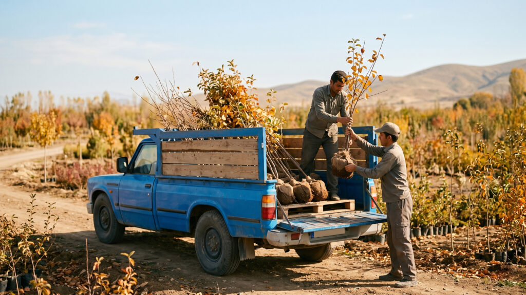 شرایط پیش‌فروش طلایی (پاییز ۱۴۰۵)